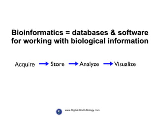 Bioinformatics = databases & software for working with biological information Acquire www.Digital-World-Biology.com Analyze Visualize Store 