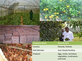 Company Name Rwanda Best
Country Rwanda, Rulindo
AAA Member Jean Claude Ruzibiza
Products Eggs, chicks, tomatoes,
vegetables, mushrooms
and fruits
 