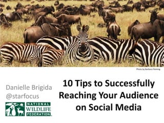 Photo by Barbara Fleming




Danielle Brigida    10 Tips to Successfully
@starfocus         Reaching Your Audience
                       on Social Media
 