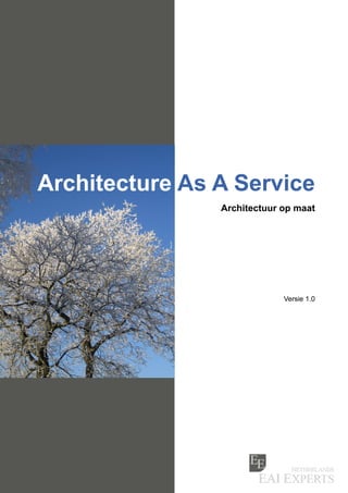 Architecture As A Service
                Architectuur op maat




                             Versie 1.0
 