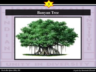 A quiz by Somnath Chanda
3
Banyan Tree
Tech-Biz Quiz 2016, ISI
 
