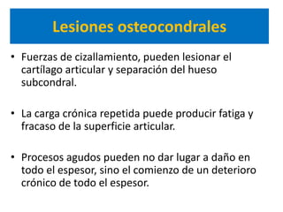 Lesiones osteocondrales
• Fuerzas de cizallamiento, pueden lesionar el
  cartílago articular y separación del hueso
  subcondral.

• La carga crónica repetida puede producir fatiga y
  fracaso de la superficie articular.

• Procesos agudos pueden no dar lugar a daño en
  todo el espesor, sino el comienzo de un deterioro
  crónico de todo el espesor.
 