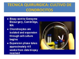 TECNICA QUIRURGICA: CULTIVO DE
          CONDROCITOS
 Surgical Technique- Cell Culturing
   Biopy sent to Genzyme
    Biosurgery, Cambridge,
    MA
   Chondrocytes are
    isolated and expansion
    through cell culture
    begins
   Expansion phase takes
    approximately 4-5
    weeks from date biopsy
    received
                                  66 2.A
                                    03
 