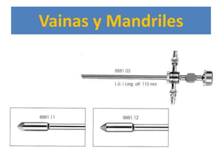 Vainas y Mandriles
 