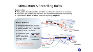 WORKSHOP EMG Electroneuromyography EP.pptx