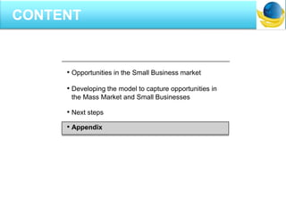 • Opportunities in the Small Business market
• Developing the model to capture opportunities in
the Mass Market and Small Businesses
• Next steps
• Appendix
CONTENT
 