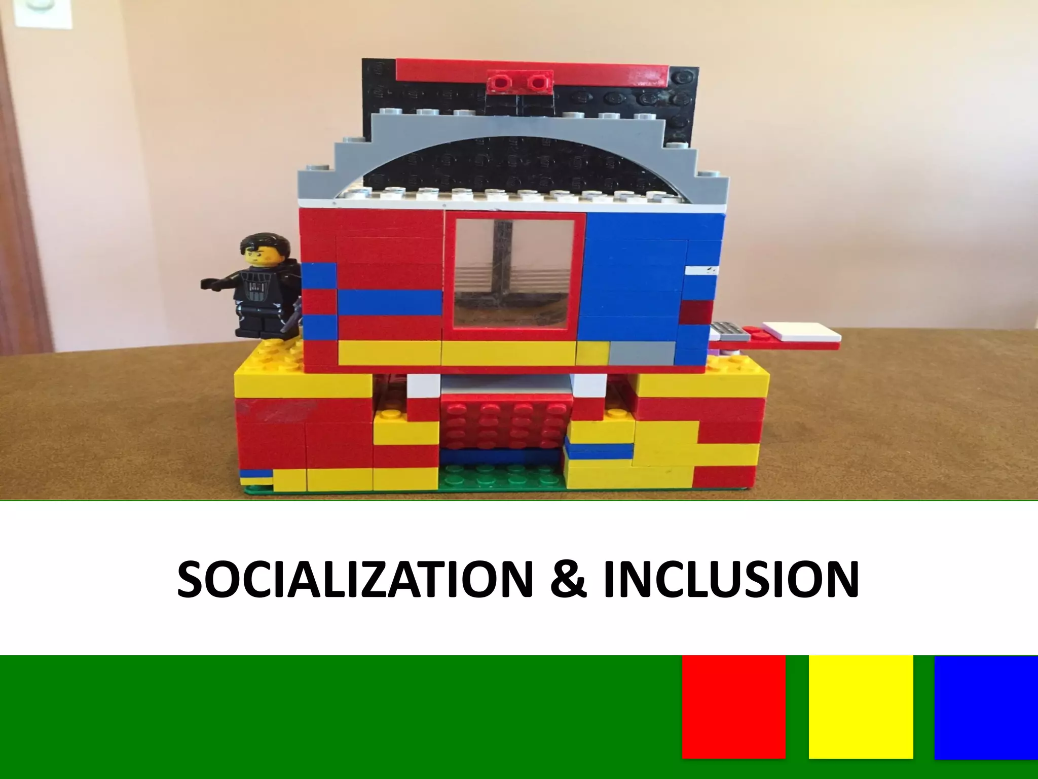 SOCIALIZATION	
  &	
  INCLUSION
 