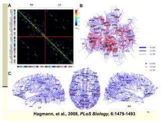 The Connectome - 2




                                                      10
   Hagmann, et al., 2008, PLoS Biology, 6:1479-1493
 