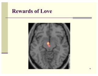 Rewards of Love




                  16
 