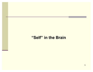 “Self” in the Brain




                      13
 