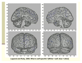 16
Legrand and Ruby, 2009. What is self-specific? [White = self; blue = other]
 