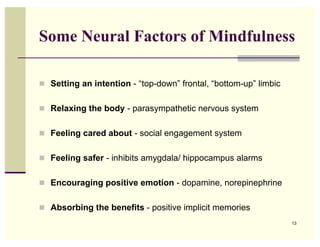 Some Neural Factors of Mindfulness

! Setting an intention - “top-down” frontal, “bottom-up” limbic


! Relaxing the body - parasympathetic nervous system


! Feeling cared about - social engagement system


! Feeling safer - inhibits amygdala/ hippocampus alarms


! Encouraging positive emotion - dopamine, norepinephrine


! Absorbing the benefits - positive implicit memories
                                                                  13
 
