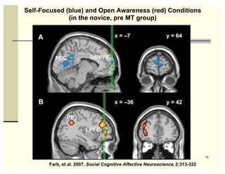 Self-Focused (blue) and Open Awareness (red) Conditions
              (in the novice, pre MT group)




                                                                               15

       Farb, et al. 2007. Social Cognitive Affective Neuroscience, 2:313-322
 