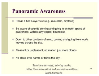Panoramic Awareness
! Recall a bird’s-eye view (e.g., mountain, airplane)


! Be aware of sounds coming and going in an open space of
   awareness, without any edges: boundless

! Open to other contents of mind, coming and going like clouds
   moving across the sky.

! Pleasant or unpleasant, no matter: just more clouds


! No cloud ever harms or taints the sky.


                  Trust in awareness, in being awake,
           rather than in transient and unstable conditions.     19


                             Ajahn Sumedho
 