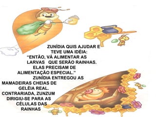 ZUNÍDIA QUIS AJUDAR E
TEVE UMA IDÉIA:
“ENTÃO, VÁ ALIMENTAR AS
LARVAS QUE SERÃO RAINHAS.
ELAS PRECISAM DE
ALIMENTAÇÃO ESPECIAL.”
ZUNÍDIA ENTREGOU AS
MAMADEIRAS CHEIAS DE
GELÉIA REAL.
CONTRARIADA, ZUNZUM
DIRIGIU-SE PARA AS
CÉLULAS DAS
RAINHAS
 