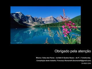 Obrigado pela atenção
Música: Valsa das Flores – do Balé O Quebra Nozes – de P. I. Tchaikovsky
Compilação deste trabalho: Francisco Romanelli (faromanelli@gmail.com)
                                                           35-9905.5246
 