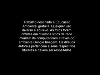Trabalho destinado a Educação
   Ambiental gratuita. Qualquer uso
  diverso é abusivo. As fotos foram
  obtidas em diversos sítios da rede
 mundial de computadores através do
ambiente Google Imagem. Os direitos
autorais pertencem a seus respectivos
  titulares e devem ser respeitados
 