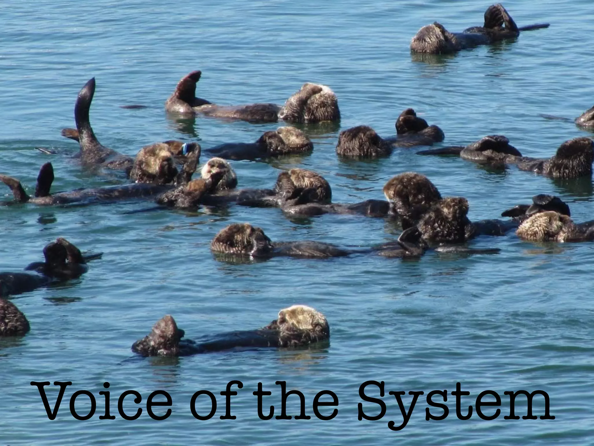 Planning  Control
1 10
FEARPredict 
Control Emergent
 