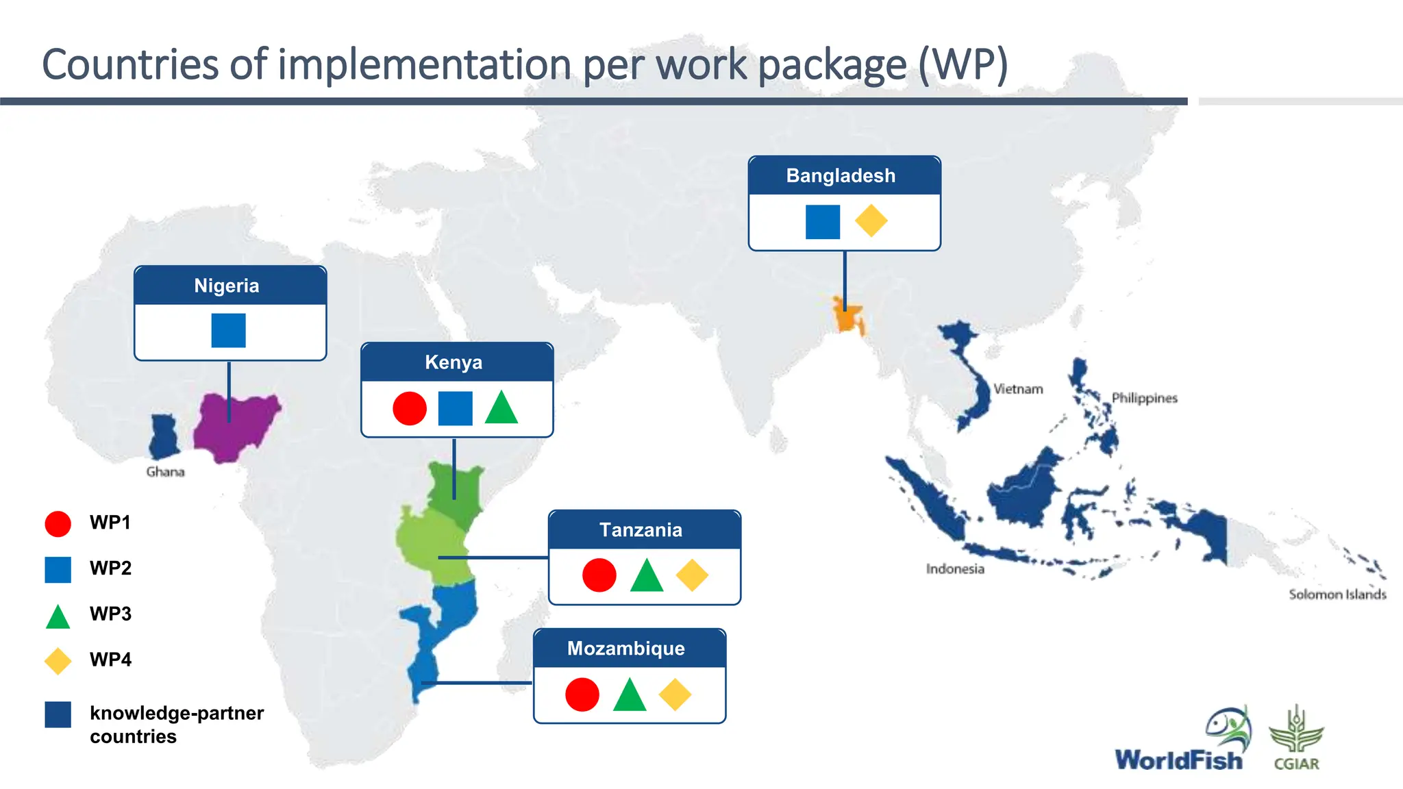 Nigeria
Kenya
Bangladesh
Mozambique
Tanzania
WP1
WP2
WP3
WP4
knowledge-partner
countries
Countries of implementation per work package (WP)
 