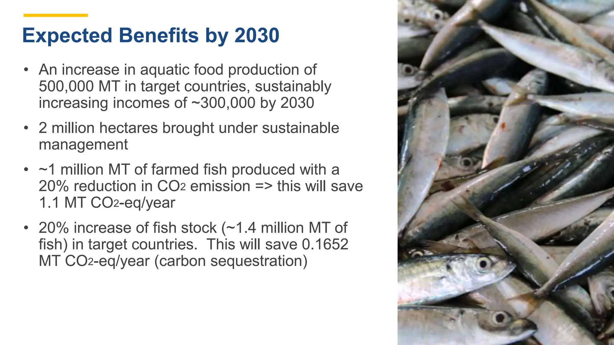 • An increase in aquatic food production of
500,000 MT in target countries, sustainably
increasing incomes of ~300,000 by 2030
• 2 million hectares brought under sustainable
management
• ~1 million MT of farmed fish produced with a
20% reduction in CO2 emission => this will save
1.1 MT CO2-eq/year
• 20% increase of fish stock (~1.4 million MT of
fish) in target countries. This will save 0.1652
MT CO2-eq/year (carbon sequestration)
Expected Benefits by 2030
 