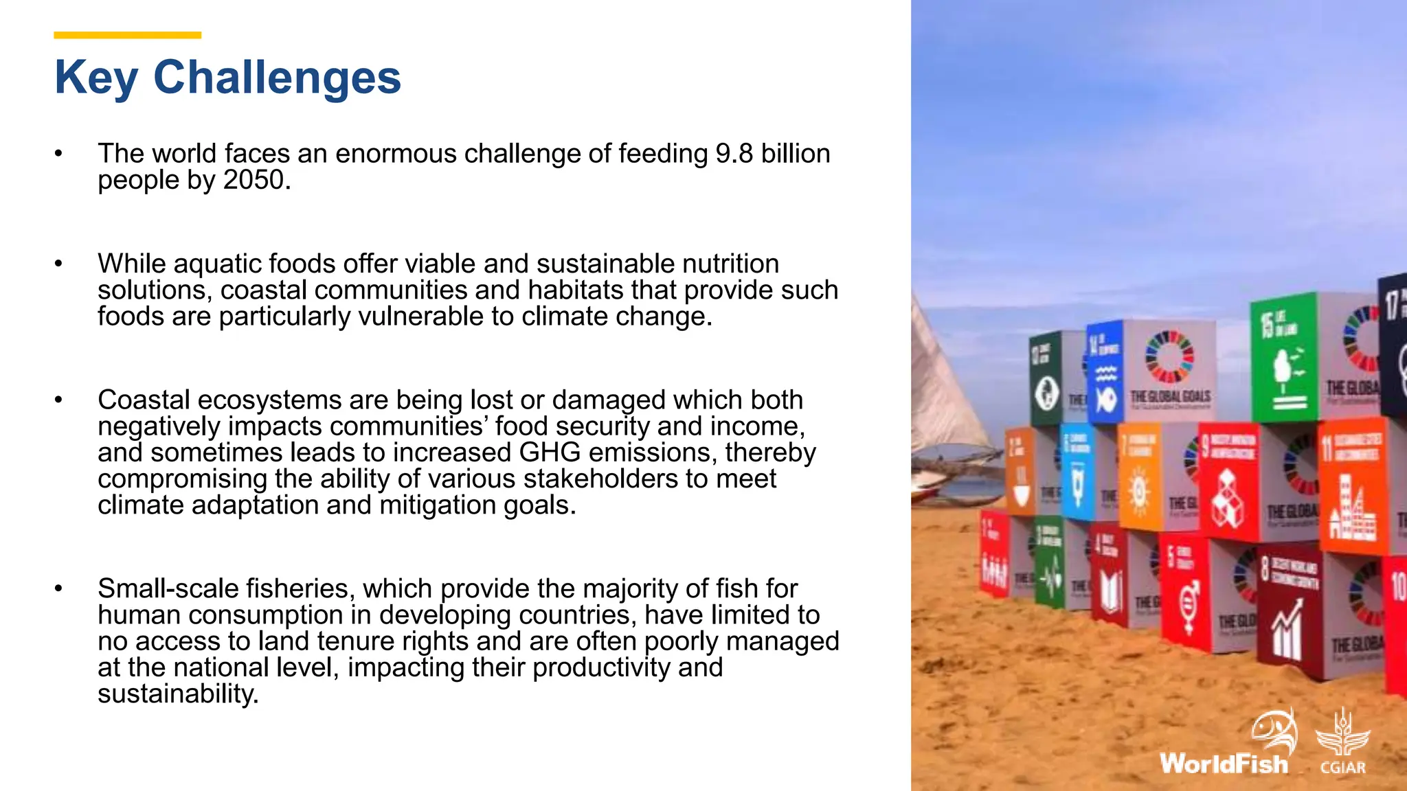 • The world faces an enormous challenge of feeding 9.8 billion
people by 2050.
• While aquatic foods offer viable and sustainable nutrition
solutions, coastal communities and habitats that provide such
foods are particularly vulnerable to climate change.
• Coastal ecosystems are being lost or damaged which both
negatively impacts communities’ food security and income,
and sometimes leads to increased GHG emissions, thereby
compromising the ability of various stakeholders to meet
climate adaptation and mitigation goals.
• Small-scale fisheries, which provide the majority of fish for
human consumption in developing countries, have limited to
no access to land tenure rights and are often poorly managed
at the national level, impacting their productivity and
sustainability.
Key Challenges
 