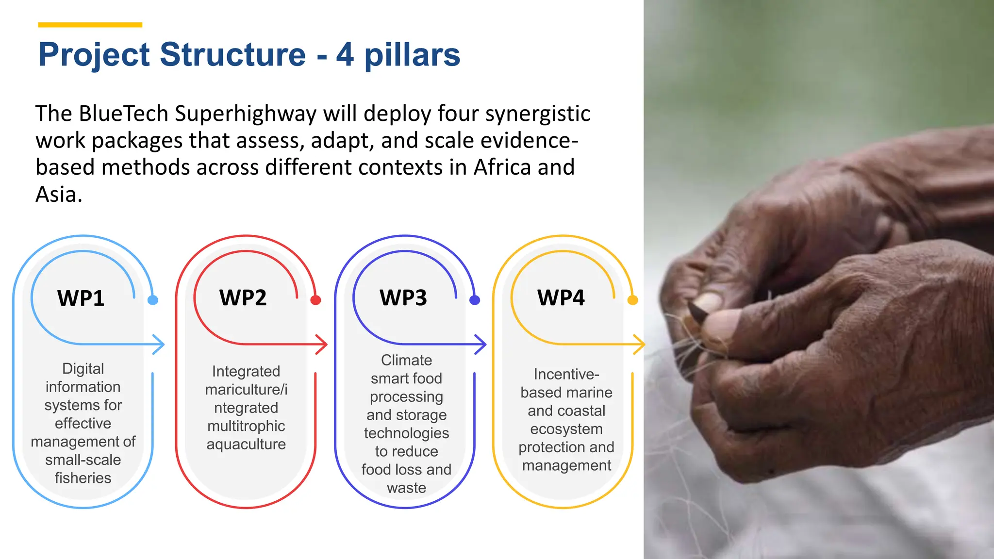 The BlueTech Superhighway will deploy four synergistic
work packages that assess, adapt, and scale evidence-
based methods across different contexts in Africa and
Asia.
Project Structure - 4 pillars
Incentive-
based marine
and coastal
ecosystem
protection and
management
Digital
information
systems for
effective
management of
small-scale
fisheries
Climate
smart food
processing
and storage
technologies
to reduce
food loss and
waste
Integrated
mariculture/i
ntegrated
multitrophic
aquaculture
WP1 WP2 WP3 WP4
 