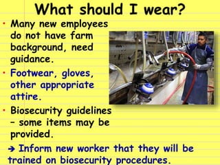 What should I wear?
• Many new employees
do not have farm
background, need
guidance.
• Footwear, gloves,
other appropriate...
