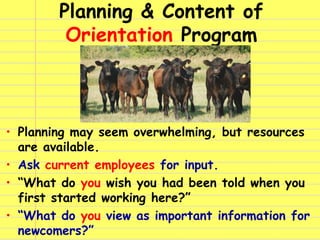 Planning & Content of
Orientation Program
• Planning may seem overwhelming, but resources
are available.
• Ask current emp...