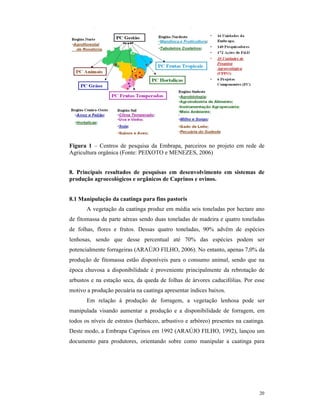20
Figura 1 – Centros de pesquisa da Embrapa, parceiros no projeto em rede de
Agricultura orgânica (Fonte: PEIXOTO e MENEZES, 2006)
8. Principais resultados de pesquisas em desenvolvimento em sistemas de
produção agroecológicos e orgânicos de Caprinos e ovinos.
8.1 Manipulação da caatinga para fins pastoris
A vegetação da caatinga produz em média seis toneladas por hectare ano
de fitomassa da parte aéreas sendo duas toneladas de madeira e quatro toneladas
de folhas, flores e frutos. Dessas quatro toneladas, 90% advêm de espécies
lenhosas, sendo que desse percentual até 70% das espécies podem ser
potencialmente forrageiras (ARAÚJO FILHO, 2006). No entanto, apenas 7,0% da
produção de fitomassa estão disponíveis para o consumo animal, sendo que na
época chuvosa a disponibilidade é proveniente principalmente da rebrotação de
arbustos e na estação seca, da queda de folhas de árvores caducifólias. Por esse
motivo a produção pecuária na caatinga apresentar índices baixos.
Em relação à produção de forragem, a vegetação lenhosa pode ser
manipulada visando aumentar a produção e a disponibilidade de forragem, em
todos os níveis de estratos (herbáceo, arbustivo e arbóreo) presentes na caatinga.
Deste modo, a Embrapa Caprinos em 1992 (ARAÚJO FILHO, 1992), lançou um
documento para produtores, orientando sobre como manipular a caatinga para
 