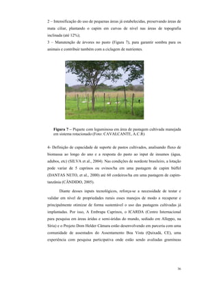36
2 – Intensificação do uso de pequenas áreas já estabelecidas, preservando áreas de
mata ciliar, plantando o capim em curvas de nível nas áreas de topografia
inclinada (até 12%);
3 – Manutenção de árvores no pasto (Figura 7), para garantir sombra para os
animais e contribuir também com a ciclagem de nutrientes.
Figura 7 – Piquete com leguminosa em área de pastagem cultivada manejada
em sistema rotacionado (Foto: CAVALCANTE, A.C.R)
4- Definição de capacidade de suporte de pastos cultivados, analisando fluxo de
biomassa ao longo do ano e a resposta do pasto ao input de insumos (água,
adubos, etc) (SILVA et al., 2004). Nas condições de nordeste brasileiro, a lotação
pode variar de 5 caprinos ou ovinos/ha em uma pastagem de capim búffel
(DANTAS NETO, et al., 2000) até 60 cordeiros/ha em uma pastagem de capim-
tanzânia (CÂNDIDO, 2005).
Diante desses inputs tecnológicos, reforça-se a necessidade de testar e
validar em nível de propriedades rurais esses manejos de modo a recuperar e
principalmente otimizar de forma sustentável o uso das pastagens cultivadas já
implantadas. Por isso, A Embrapa Caprinos, o ICARDA (Centro Internacional
para pesquisa em áreas áridas e semi-áridas do mundo, sediado em Alleppo, na
Síria) e o Projeto Dom Helder Câmara estão desenvolvendo em parceria com uma
comunidade de assentados do Assentamento Boa Vista (Quixadá, CE), uma
experiência com pesquisa participativa onde estão sendo avaliadas gramíneas
 