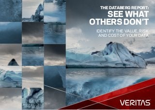 THE DATABERG REPORT:
SEE WHAT
OTHERS DON’T
IDENTIFY THE VALUE, RISK
AND COST OF YOUR DATA
 