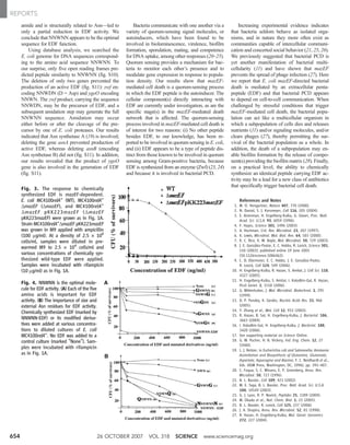 amide and is structurally related to Asn—led to
only a partial reduction in EDF activity. We
conclude that NNWNN appears to be the optimal
sequence for EDF function.
Using database analysis, we searched the
E. coli genome for DNA sequences correspond-
ing to the amino acid sequence NNWNN. To
our surprise, only five open reading frames pre-
dicted peptide similarity to NNWNN (fig. S10).
The deletion of only two genes prevented the
production of an active EDF (fig. S11): zwf en-
coding NNWDN (D = Asp) and ygeO encoding
NNWN. The zwf product, carrying the sequence
NNWDN, may be the precursor of EDF, and a
subsequent amidation step may generate the full
NNWNN sequence. Amidation may occur
either before or after the cleavage of the pre-
cursor by one of E. coli proteases. Our results
indicated that Asn synthetase A (19) is involved;
deleting the gene asnA prevented production of
active EDF, whereas deleting asnB (encoding
Asn synthetase B) did not (fig. S11). In addition,
our results revealed that the product of ygeO
gene is also involved in the generation of EDF
(fig. S11).
Bacteria communicate with one another via a
variety of quorum-sensing signal molecules, or
autoinducers, which have been found to be
involved in bioluminescence, virulence, biofilm
formation, sporulation, mating, and competence
for DNA uptake, among other responses (20–25).
Quorum sensing provides a mechanism for bac-
teria to monitor each other’s presence and to
modulate gene expression in response to popula-
tion density. Our results show that mazEF-
mediated cell death is a quorum-sensing process
in which the EDF peptide is the autoinducer. The
cellular component(s) directly interacting with
EDF are currently under investigation, as are the
specific stage(s) in the mazEF-mediated death
network that is affected. The quorum-sensing
process involved in mazEF-mediated cell death is
of interest for two reasons: (i) No other peptide
besides EDF, to our knowledge, has been re-
ported to be involved in quorum sensing in E. coli,
and (ii) EDF appears to be a type of peptide dis-
tinct from those known to be involved in quorum
sensing among Gram-positive bacteria, because
EDF is synthesized from an enzyme (Zwf) (23, 24)
and because it is involved in bacterial PCD.
Increasing experimental evidence indicates
that bacteria seldom behave as isolated orga-
nisms, and in nature they more often exist as
communities capable of intercellular communi-
cation and concerted social behavior (21, 25, 26).
We previously suggested that bacterial PCD is
yet another manifestation of bacterial multi-
cellularity (11) and have shown that mazEF
prevents the spread of phage infection (27). Here
we report that E. coli mazEF-directed bacterial
death is mediated by an extracellular penta-
peptide (EDF) and that bacterial PCD appears
to depend on cell-to-cell communication. When
challenged by stressful conditions that trigger
mazEF-mediated cell death, the bacterial popu-
lation can act like a multicellular organism in
which a subpopulation of cells dies and releases
nutrients (11) and/or signaling molecules, and/or
clears phages (27), thereby permitting the sur-
vival of the bacterial population as a whole. In
addition, the death of a subpopulation may en-
able biofilm formation by the release of compo-
nent(s) providing the biofilm matrix (28). Finally,
on a practical level, the ability to chemically
synthesize an identical peptide carrying EDF ac-
tivity may be a lead for a new class of antibiotics
that specifically trigger bacterial cell death.
References and Notes
1. M. O. Hengartner, Nature 407, 770 (2000).
2. N. Danial, S. J. Korsmeyer, Cell 116, 205 (2004).
3. E. Aizenman, H. Engelberg-Kulka, G. Glaser, Proc. Natl.
Acad. Sci. U.S.A. 93, 6059 (1996).
4. F. Hayes, Science 301, 1496 (2003).
5. A. Hochman, Crit. Rev. Microbiol. 23, 207 (1997).
6. K. Lewis, Microbiol. Mol. Biol. Rev. 64, 503 (2000).
7. K. C. Rice, K. W. Bayle, Mol. Microbiol. 50, 729 (2003).
8. J. E. González-Pastor, E. C. Hobbs, R. Losick, Science 301,
510 (2003); published online 19 June 2003
(10.1126/science.1086462).
9. C. D. Ellermeier, E. C. Hobbs, J. E. González-Pastor,
R. Losick, Cell 124, 549 (2006).
10. H. Engelberg-Kulka, R. Hazan, S. Amitai, J. Cell Sci. 118,
4327 (2005).
11. H. Engelberg-Kulka, S. Amitai, I. Kolodkin-Gal, R. Hazan,
PLoS Genet. 2, 1518 (2006).
12. G. Mittenhuber, J. Mol. Microbiol. Biotechnol. 1, 295
(1999).
13. D. P. Pandey, K. Gerdes, Nucleic Acids Res. 33, 966
(2005).
14. Y. Zhang et al., Mol. Cell 12, 913 (2003).
15. R. Hazan, B. Sat, H. Engelberg-Kulka, J. Bacteriol. 186,
3663 (2004).
16. I. Kolodkin-Gal, H. Engelberg-Kulka, J. Bacteriol. 188,
3420 (2006).
17. See supporting material on Science Online.
18. G. W. Pucher, H. B. Vickery, Ind. Eng. Chem. 12, 27
(1940).
19. L. J. Reitzer, in Escherichia coli and Salmonella: Ammonia
Assimilation and Biosynthesis of Glutamine, Glutamate,
Aspartate, Asparagine and Alanine, F. C. Neidhardt et al.,
Eds. (ASM Press, Washington, DC, 1996), pp. 391–407.
20. C. Fuqua, S. C. Winans, E. P. Greenberg, Annu. Rev.
Microbiol. 50, 727 (1996).
21. B. L. Bassler, Cell 109, 421 (2002).
22. M. E. Taga, B. L. Bassler, Proc. Natl. Acad. Sci. U.S.A.
100, 14549 (2003).
23. G. J. Lyon, R. P. Novick, Peptides 25, 1389 (2004).
24. M. Okada et al., Nat. Chem. Biol. 1, 23 (2005).
25. B. L. Bassler, R. Losick, Cell 125, 237 (2006).
26. J. A. Shapiro, Annu. Rev. Microbiol. 52, 81 (1998).
27. R. Hazan, H. Engelberg-Kulka, Mol. Genet. Genomics
272, 227 (2004).
Fig. 3. The response to chemically
synthesized EDF is mazEF-dependent.
E. coli MC4100relA+
(WT), MC4100relA+
∆mazEF (∆mazEF), and MC4100relA+
∆mazEF pKK223mazEF (∆mazEF
pKK223mazEF) were grown as in Fig. 1A.
Strain MC4100relA+
∆mazEF pKK223mazEF
was grown in M9 applied with ampicillin
(100 mg/ml). At a density of 2.5 × 108
cells/ml, samples were diluted in pre-
warmed M9 to 2.5 × 104
cells/ml and
various concentrations of chemically syn-
thesized wild-type EDF were applied.
Samples were incubated with rifampicin
(10 mg/ml) as in Fig. 1A.
Fig. 4. NNWNN is the optimal mole-
cule for EDF activity. (A) Each of the five
amino acids is important for EDF
activity. (B) The importance of size and
external Asn residues for EDF activity.
Chemically synthesized EDF (marked by
NNWNN-EDF) or its modified deriva-
tives were added at various concentra-
tions to diluted cultures of E. coli
MC4100relA+
. No EDF was added to a
control culture (marked “None”). Sam-
ples were incubated with rifampicin
as in Fig. 1A.
26 OCTOBER 2007 VOL 318 SCIENCE www.sciencemag.org654
REPORTS
 