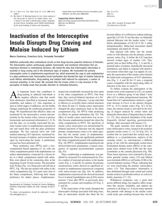 28. K. C. Rice et al., Proc. Natl. Acad. Sci. U.S.A. 104, 8113
(2007).
29. We thank F. R. Warshaw-Dadon for her critical reading of
the manuscript, B. Chait for his helpful advice, and
T. Kahan for her help in bioinformatics studies. Supported
by Israel Science Foundation grant 938/04 (administrated
by the Israel Academy of Science and Humanities),
United States–Israel Binational Science Foundation grant
2005029, and NIH grant GM069509.
Supporting Online Material
www.sciencemag.org/cgi/content/full/318/5850/652/DC1
Materials and Methods
SOM Text
Figs. S1 to S11
Table S1
References
2 July 2007; accepted 28 August 2007
10.1126/science.1147248
Inactivation of the Interoceptive
Insula Disrupts Drug Craving and
Malaise Induced by Lithium
Marco Contreras, Francisco Ceric, Fernando Torrealba*
Addiction profoundly alters motivational circuits so that drugs become powerful reinforcers of behavior.
The interoceptive system continuously updates homeostatic and emotional information that are
important elements in motivational decisions. We tested the idea that interoceptive information is
essential in drug craving and in the behavioral signs of malaise. We inactivated the primary
interoceptive cortex in amphetamine-experienced rats, which prevented the urge to seek amphetamine
in a place preference task. Interoceptive insula inactivation also blunted the signs of malaise induced by
acute lithium administration. Drug-seeking and malaise both induced Fos expression, a marker of
neuronal activation, in the insula. We conclude that the insular cortex is a key structure in the
perception of bodily needs that provides direction to motivated behaviors.
A
n important factor that contributes to
drug-seeking in addicted individuals is
the negative affective state that results
from abstinence, described as increased anxiety,
irritability, and sadness (1). Also important, at
least at initial stages of addiction, are the bodily
changes underlying the reinforcing properties of
drugs. We hypothesized that affective states are
monitored by the interoceptive system and par-
ticularly by the insular cortex, known to process
homeostatic and emotional information (2, 3). To
test this idea, we reversibly inactivated the pri-
mary insular cortex in amphetamine-experienced
rats and tested them with the place preference
paradigm. We also injected naïve rats with
malaise-inducing LiCl injections, monitored be-
havioral measures of malaise, and reversed those
signs by inactivating the insula. A preliminary
account has been presented (4).
Place preference tests (PPTs) used a two-
compartment biased apparatus (5, 6), with one
white compartment paired with amphetamine (or
saline) administration, connected by a brown al-
ley to a black compartment paired with saline.
Rats were placed in the connecting alley at the
beginning of each 10-min session. The procedure
took 30 days (Fig. 1A). Drug-naïve rats (all rats at
PPT1, Fig. 1B) and rats treated with saline in the
white compartment (fig. S1) spent more time in
the black compartment, following their innate
preference for darker places. Amphetamine-
treated rats considerably increased the time spent
in the white compartment on PPT2. One hour
later, they received bilateral injections of a Na+
channel blocker (2% lidocaine, 1 ml per side) that
is effective to reversibly block cortical structures
for about 20 min (7). Insular cortex inactivation
changed the place preference back to the black
compartment (Fig. 1B, PPT3) while producing
no effects on general ambulation (fig. S2). The
effect of insular cortex inactivation was revers-
ible, because amphetamine-treated rats chose the
white compartment on PPT4. The specificity of
insular cortex inactivation was demonstrated by
bilateral injections of lidocaine into the adjacent
primary somatosensory cortex or by saline injec-
tion into the insular cortex of amphetamine-
experienced rats. These rats significantly preferred
the white compartment paired with amphetamine
(Fig. 1B, PPT3). Amphetamine-experienced rats
showed behavioral sensitization, a neural conse-
quence of repeated psychostimulant exposure
(fig. S3).
Place conditioning to amphetamine was par-
alleled by increased Fos immunoreactivity (Fos-
ir), a marker of neuronal activation, in the insular
cortex (Fig. 2, A and B). In contrast, the primary
somatosensory cortex showed no significant ac-
tivation in amphetamine-experienced compared
with saline-treated rats (fig. S4). In addition,
amphetamine-experienced rats showed increased
Fos-ir in lateral hypothalamic area (LHA) orexin
neurons 1 hour after PPT2, as previously dem-
onstrated for cocaine and morphine (8) (Fig. 2,
C and D).
If the inactivation of the insula disrupted the
interoceptive feelings associated with drug clues,
then its inactivation should also blunt the be-
havioral effects of a well-known malaise-inducing
agent like LiCl (9). To test this idea, we bilaterally
injected lidocaine into the insular cortex 5 min
before administration of LiCl (0.15 M; 5 ml/kg
intraperitoneally). Behavioral assessment started
immediately and lasted for 30 min.
Rats injected with saline into the insular
cortex or with lidocaine into the primary somato-
sensory cortex (Fig. 3) before the LiCl injection
showed evident signs of malaise (10). They
quickly laid on their bellies (Fig. 3, A and B), a
postural index of malaise, dramatically decreased
ambulation, and failed to respond with attentive
movements when their cage was tapped. In con-
trast, the inactivation of the insular cortex blunted
the behavioral consequences of LiCl administra-
tion (Fig. 3, A and B) for 15 min, a temporal
course compatible with the inactivating effect of
lidocaine at the dose we used (7).
To further evaluate the participation of the
insular cortex in the responses to LiCl, we studied
Fos-ir in a different group of rats killed 1 hour
after LiCl or saline intraperitoneal injections. We
found that LiCl administration induced a signif-
icant increase in Fos-ir in the anterior (bregma
0.95 to –0.51) insular cortex (Fig. 3C). In hu-
mans, the anterior insula is activated by the feel-
ing of disgust induced by certain odors and
during the observation of disgusted faces in others
(11, 12). Also, electrical stimulation of the insula
frequently elicited upsetting gastrointestinal
feelings, often associated with nausea (13).
The guide cannulae were aimed at the pri-
mary interoceptive cortex, located in the posterior
granular insular cortex (7, 14–16) (Fig. 4A). To
confirm that we inactivated this cortical area, in
addition to a cytoarchitectonic analysis of the
cannulae tracks, we microinjected a different
group of rats with the anterograde axonal tracer
biotinylated dextran amine (BDA) or the retro-
grade tracer cholera toxin (CtB) into the same
coordinates as the cannula placement (Fig. 4B).
These tracer injections were restricted to the pos-
terior granular insular cortex (14) and labeled
axon terminals (BDA) or cell bodies (CtB) in the
visceral thalamic nucleus, VPLpc, indicating that
we were inactivating the primary interoceptive
cortex (15). This interoceptive information is
then distributed through more rostral and ventral
insular cortices to prefrontal cortices, as well as to
limbic structures (17, 18).
Withdrawal symptoms vary a great deal
across different drugs, but negative affect symp-
toms like anxiety, irritability, and sadness are
common to all drugs (1). A recent study reported
that patients with damage to the insular cortex
could easily quit smoking because they lost the
Departamento de Fisiología, Facultad de Ciencias Biológicas,
Pontificia Universidad Católica de Chile, Santiago 6513677,
Chile.
*To whom correspondence should be addressed. E-mail:
ftorrealba@bio.puc.cl
www.sciencemag.org SCIENCE VOL 318 26 OCTOBER 2007 655
REPORTS
 