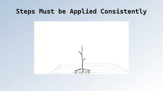 Steps Must be Applied Consistently
Steps Must be Applied Consistently
 