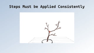 Steps Must be Applied Consistently
Steps Must be Applied Consistently
 