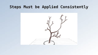 Steps Must be Applied Consistently
Steps Must be Applied Consistently
 