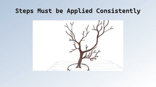 Steps Must be Applied Consistently
Steps Must be Applied Consistently
 