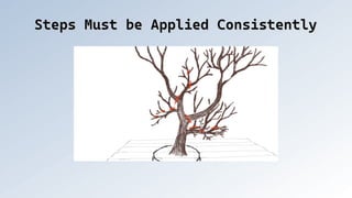Steps Must be Applied Consistently
Steps Must be Applied Consistently
 