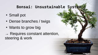 Bonsai: Unsustainable System
Bonsai: Unsustainable System
●
Small pot
●
Dense branches / twigs
●
Wants to grow big
→ Requires constant attention,
steering & work
 