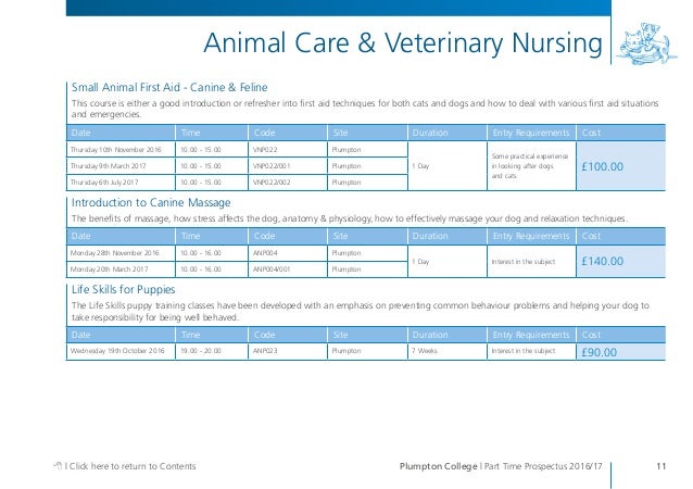 Plumpton College Level Dog Grooming Plumpton College Level Dog Grooming