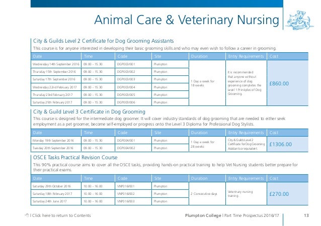 Plumpton College Level Dog Grooming Plumpton College Level Dog Grooming