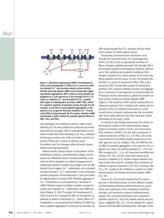ing clopidogrel, but additional patients suffer severe
bleeding (5). For every additional cardiovascular death
prevented by prasugrel, there is approximately one ad-
ditional death from fatal bleeding (5, 6). Thus, antiplate-
let therapy to reduce risk of MI and stroke could be im-
proved if there was a means to prevent acute
thrombosis over the damaged atherosclerotic plaque
without prolonging bleeding.
Atherosclerotic plaque rupture or denudation of the
endothelium exposes subendothelial collagen and re-
leases von Willebrand factor, thereby providing a sub-
strate to which platelets can adhere. Engagement of
platelet glycoprotein receptors by collagen and von Wil-
lebrand factor triggers Ca2ϩ
mobilization and activation
of protein kinase C. Ca2ϩ
mobilization in turn stimulates
platelet production of thromboxane A2 (TxA2) and plate-
let degranulation to release ADP. Platelets aggregate if
Ca2ϩ
mobilization is accompanied by a decrease in
cAMP. Platelets express multiple G-protein coupled re-
ceptors that regulate Ca2ϩ
mobilization and cAMP syn-
thesis (Figure 1). The TP receptor for thromboxane A2
(TxA2) and the P2Y1 receptor for ADP act through the Gq
pathway to release intracellular Ca2ϩ
stores. When Ca2ϩ
mobilization is accompanied by inhibition of cAMP syn-
thesis, platelet aggregation is induced, for example, by
ADP acting through the P2Y12 receptor and the inhibi-
tory Gi protein to inhibit adenyl cyclase.
Prostanoids are formed from arachidonic acid
through the concerted action of a cyclooxygenase
(COX-1 or COX-2) and an appropriate synthase (7).
When activated, platelets generate TxA2 through COX-1
functionally coupled to thromboxane synthase. ASA pre-
vents TxA2 synthesis by covalently modifying COX-1
though acetylation of a serine residue in the active site.
While platelets are the source of TxA2, the healthy arte-
rial wall is a source of prostacyclin (PGI2). PGI2 is pro-
duced by COX-2 functionally coupled to prostacyclin
synthase. PGI2 prevents platelet activation and aggrega-
tion in response to most agonists by acting through the
IP receptor and the stimulatory Gs protein to increase ad-
enyl cyclase activity and elevate platelet cAMP
(Figure 1). The synthesis of PGI2 by the arterial wall is in-
hibited by selective COX-2 inhibitors (8). Indeed, the im-
portance of PGI2 for platelet homeostasis is under-
scored by the increased cardiovascular risk associated
with Vioxx (rofecoxib) that led to the voluntary market
withdrawal of the drug in 2006.
In contrast to the healthy arterial wall, the chronic in-
ﬂammatory condition of the atherosclerotic plaque
leads to increased content of COX-2 and microsomal
PGE2 synthase, mPGES-1 (9, 10), with consequent in-
creased production of PGE2 (11, 12). PGE2 acts at low
concentrations to facilitate platelet responses to mul-
tiple agonists such as collagen, TxA2, and ADP but has
no effect on platelet aggregation in the absence of a co-
agonist as it does not mobilize platelet Ca2ϩ
(13). Four
PGE2 receptors, EP1Ϫ4 (14−16), have been identiﬁed and
of these, EP1, EP3, and EP4 have been shown to be
present in platelets (17). Studies of gene-deleted mice
have shown that only EP3 mediates PGE2 facilitation of
platelet co-agonist responses (13). This is because, like
P2Y12, EP3 couples to the inhibitory Gi protein to inhibit
adenyl cyclase and thereby decreases platelet cAMP
(13, 18).
Gross et al. (11) recently showed that EP3 plays a
key role in atherothrombosis. In three different models
of inﬂammatory-mediated arterial thrombosis, arachi-
donic acid superfusion, FeCl3-mediated endothelial
damage, and mechanical rupture of atherosclerotic
plaque, PGE2-promoted thrombosis was impaired if
platelets lacked EP3. Since the healthy arterial wall pro-
duces negligible PGE2 (11, 12), the platelet EP3 system
should minimally affect bleeding time, although contra-
Figure 1. Adenosine diphosphate (ADP), thromboxane A2
(TxA2), and prostaglandin E2 (PGE2) act in concert to mobi-
lize platelet Ca2؉
and decrease adenyl cyclase activity,
thereby lowering platelet cAMP and consequently trigger-
ing platelet aggregation. ADP is able to cause platelet ag-
gregation as a sole agonist as it acts through the P2Y1 re-
ceptor to mobilize Ca2؉
and through the P2Y12 receptor
(the target of clopidogrel) to decrease cAMP. PGE2, which
is a negative regulator of adenylyl cyclase through the EP3
receptor, is not able to cause platelet aggregation in the
absence of a co-agonist that also mobilizes Ca2؉
. Prosta-
cyclin (PGI2) acting through the IP receptor, elevates cAMP
and thereby is able to block the platelet agonist effects of
ADP, TxA2, and PGE2.
116 VOL.4 NO.2 • 115–126 • 2009 www.acschemicalbiology.orgSINGH ET AL.
 