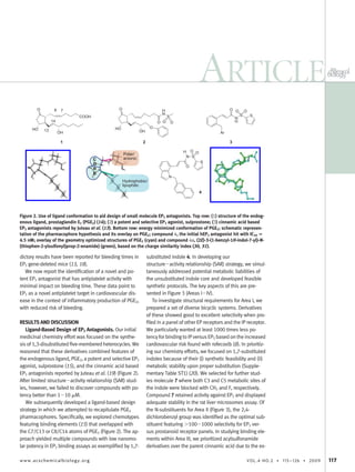 dictory results have been reported for bleeding times in
EP3 gene-deleted mice (13, 18).
We now report the identiﬁcation of a novel and po-
tent EP3 antagonist that has antiplatelet activity with
minimal impact on bleeding time. These data point to
EP3 as a novel antiplatelet target in cardiovascular dis-
ease in the context of inﬂammatory production of PGE2,
with reduced risk of bleeding.
RESULTS AND DISCUSSION
Ligand-Based Design of EP3 Antagonists. Our initial
medicinal chemistry effort was focused on the synthe-
sis of 1,3-disubstituted ﬁve-membered heterocycles. We
reasoned that these derivatives combined features of
the endogenous ligand, PGE2, a potent and selective EP3
agonist, sulprostone (15), and the cinnamic acid based
EP3 antagonists reported by Juteau et al. (19) (Figure 2).
After limited structureϪactivity relationship (SAR) stud-
ies, however, we failed to discover compounds with po-
tency better than 1Ϫ10 ␮M.
We subsequently developed a ligand-based design
strategy in which we attempted to recapitulate PGE2
pharmacophores. Speciﬁcally, we explored chemotypes
featuring binding elements (15) that overlapped with
the C7/C13 or C8/C14 atoms of PGE2 (Figure 2). The ap-
proach yielded multiple compounds with low nanomo-
lar potency in EP3 binding assays as exempliﬁed by 1,7-
substituted indole 4. In developing our
structureϪactivity relationship (SAR) strategy, we simul-
taneously addressed potential metabolic liabilities of
the unsubstituted indole core and developed feasible
synthetic protocols. The key aspects of this are pre-
sented in Figure 3 (Areas IϪIV).
To investigate structural requirements for Area I, we
prepared a set of diverse bicyclic systems. Derivatives
of these showed good to excellent selectivity when pro-
ﬁled in a panel of other EP receptors and the IP receptor.
We particularly wanted at least 1000 times less po-
tency for binding to IP versus EP3 based on the increased
cardiovascular risk found with rofecoxib (8). In prioritiz-
ing our chemistry efforts, we focused on 1,7-substituted
indoles because of their (i) synthetic feasibility and (ii)
metabolic stability upon proper substitution (Supple-
mentary Table ST1) (20). We selected for further stud-
ies molecule 7 where both C3 and C5 metabolic sites of
the indole were blocked with CH3 and F, respectively.
Compound 7 retained activity against EP3 and displayed
adequate stability in the rat liver microsomes assay. Of
the N-substituents for Area II (Figure 3), the 2,4-
dichlorobenzyl group was identiﬁed as the optimal sub-
stituent featuring Ͼ100Ϫ1000 selectivity for EP3 ver-
sus prostanoid receptor panels. In studying binding ele-
ments within Area III, we prioritized acylsulfonamide
derivatives over the parent cinnamic acid due to the ex-
Figure 2. Use of ligand conformation to aid design of small molecule EP3 antagonists. Top row: (1) structure of the endog-
enous ligand, prostaglandin E2 (PGE2) (14); (2) a potent and selective EP3 agonist, sulprostone; (3) cinnamic acid based
EP3 antagonists reported by Juteau et al. (13). Bottom row: energy minimized conformation of PGE2; schematic represen-
tation of the pharmacophore hypothesis and its overlay on PGE2; compound 4, the initial hEP3 antagonist hit with IC50 ‫؍‬
4.5 nM; overlay of the geometry optimized structures of PGE2 (cyan) and compound 4a, (2E)-3-(1-benzyl-1H-indol-7-yl)-N-
(thiophen-2-ylsulfonyl)prop-2-enamide) (green), based on the charge similarity index (30, 31).
ARTICLE
www.acschemicalbiology.org VOL.4 NO.2 • 115–126 • 2009 117
 