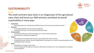 Accelerating sustainable small ruminant value chain development in Ethiopia