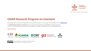 Accelerating sustainable smallholder dairy value chain development in Tanzania