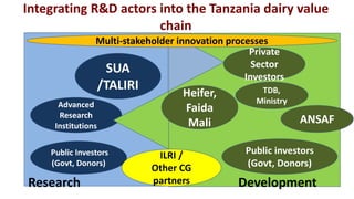 Accelerating sustainable smallholder dairy value chain development in Tanzania