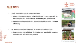 Accelerating sustainable safe pork production in Uganda