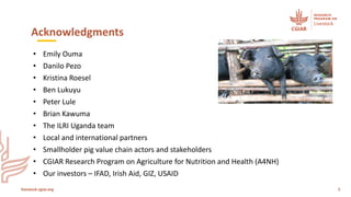 Accelerating sustainable safe pork production in Uganda
