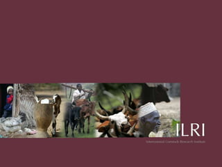 Knowledge of livestock grading and market participation among small ruminant producers in northern Somalia 