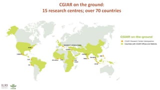 Accelerating uptake of research on sustainable livestock interventions—Insights from the CRP